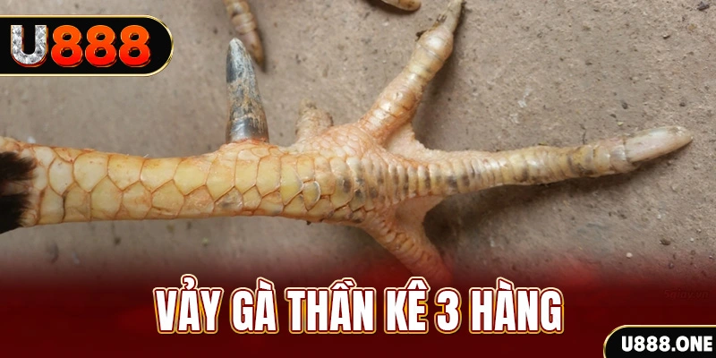 lucky8 nổ hũ đổi thưởng . ai
