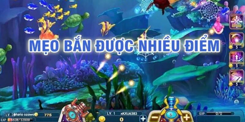 lucky8 đá gà