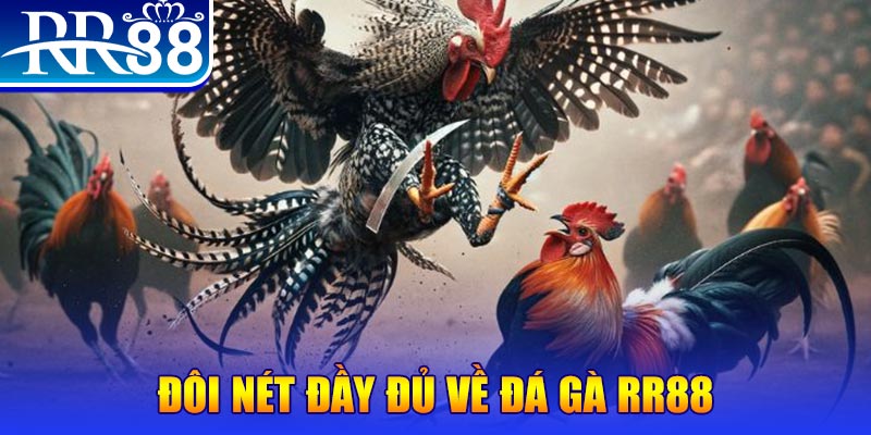 lucky8 1 slot là gì