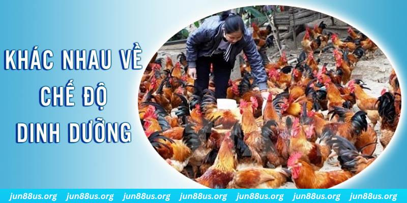 lucky8 xổ số thứ sáu hàng tuần