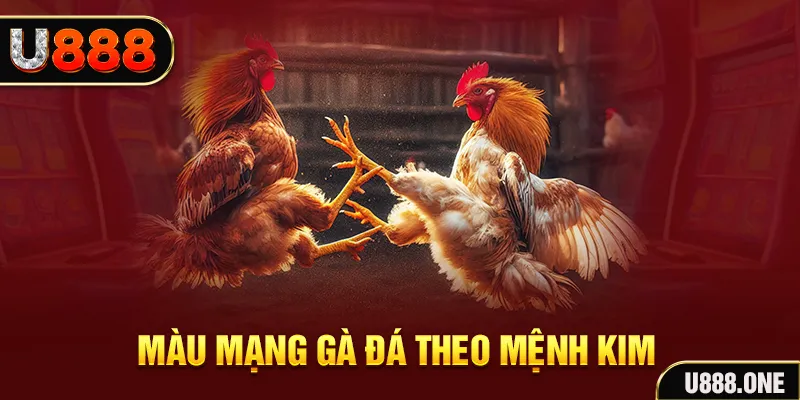 lucky8 gà chọi tiêu phong