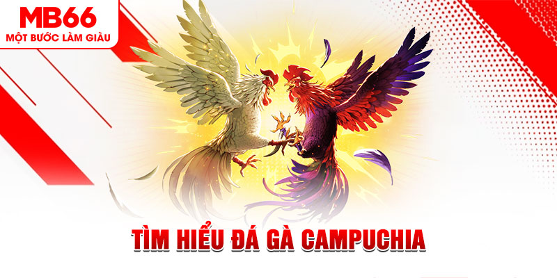 lucky8 tại sao không tải được nổ hũ