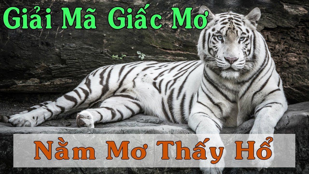 lucky8 xổ số miền trung