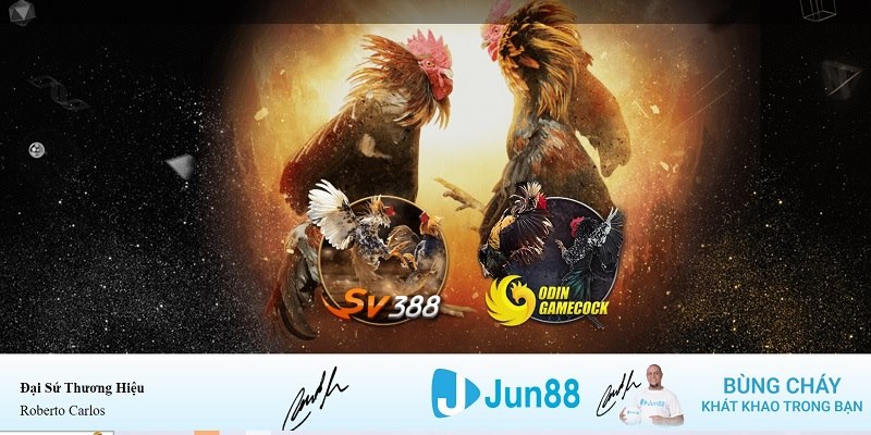 lucky8 xổ số miền nam hàng tuần