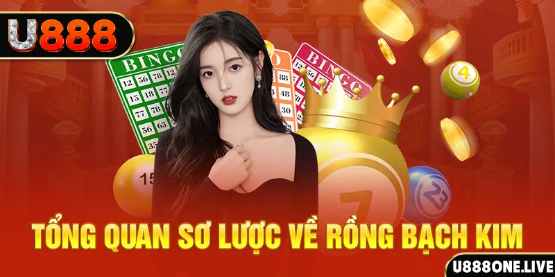 lucky8 how to win at slot machines