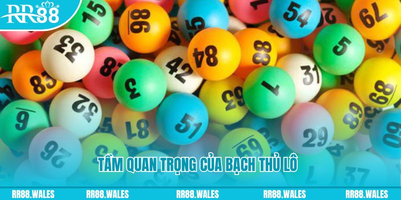 lucky8 Ws168 Đá Gà