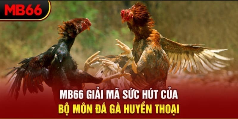 lucky8 long bảo trong baccarat là gì