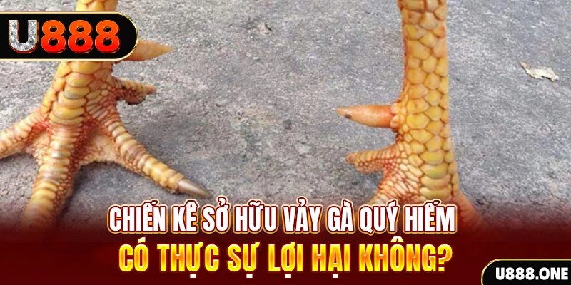 lucky8 game cá cược máy bay
