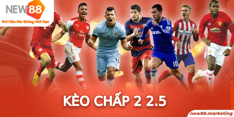 lucky8 trực tiếp đá gà thomo