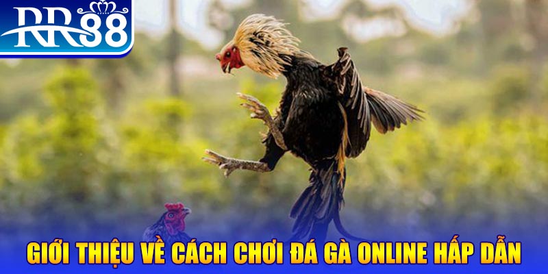 lucky8 nổ hũ 2 mặt là gì