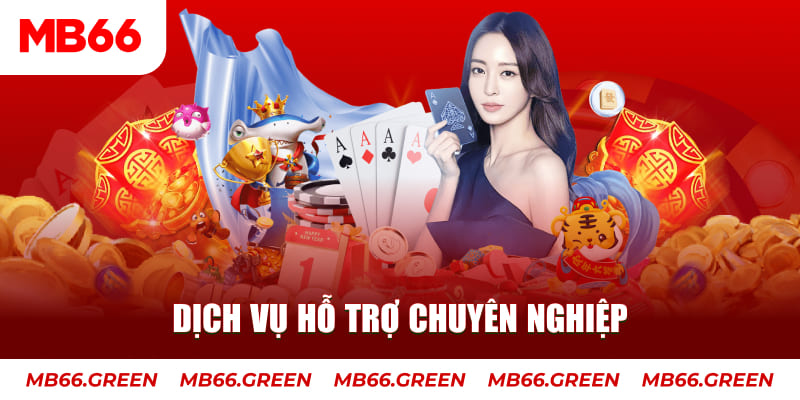lucky8 gà chọi cậu thanh