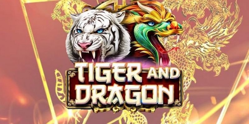 lucky8 cá cược tiếng anh là gì