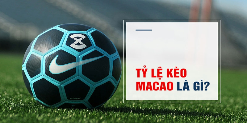 lucky8 Trăm Knorr