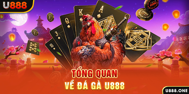 lucky8 chạy quảng cáo cho game bài bị phạt như thế nào